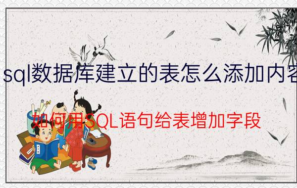 sql数据库建立的表怎么添加内容 如何用SQL语句给表增加字段？